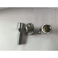 High Quality Car Wheel Lug Bolt